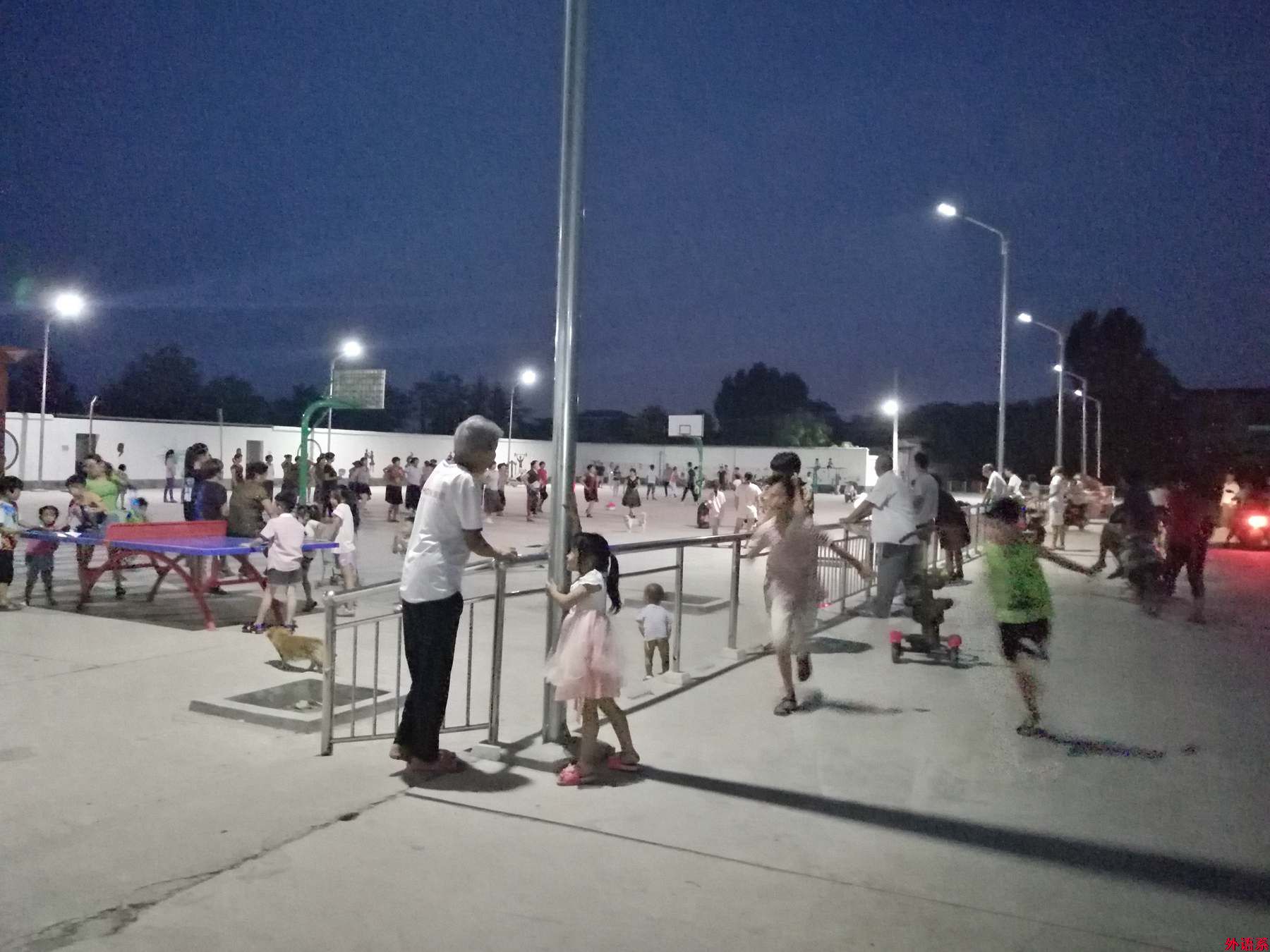 ok138cn太阳集团529暑期“三下乡”：“喜看乡村新变化”专项调研团深入乡村开展调研活动