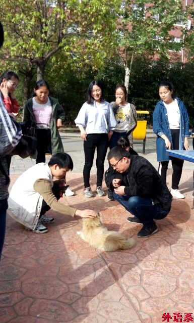 关爱动物，传递温暖