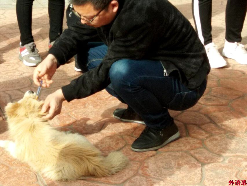 关爱动物，传递温暖