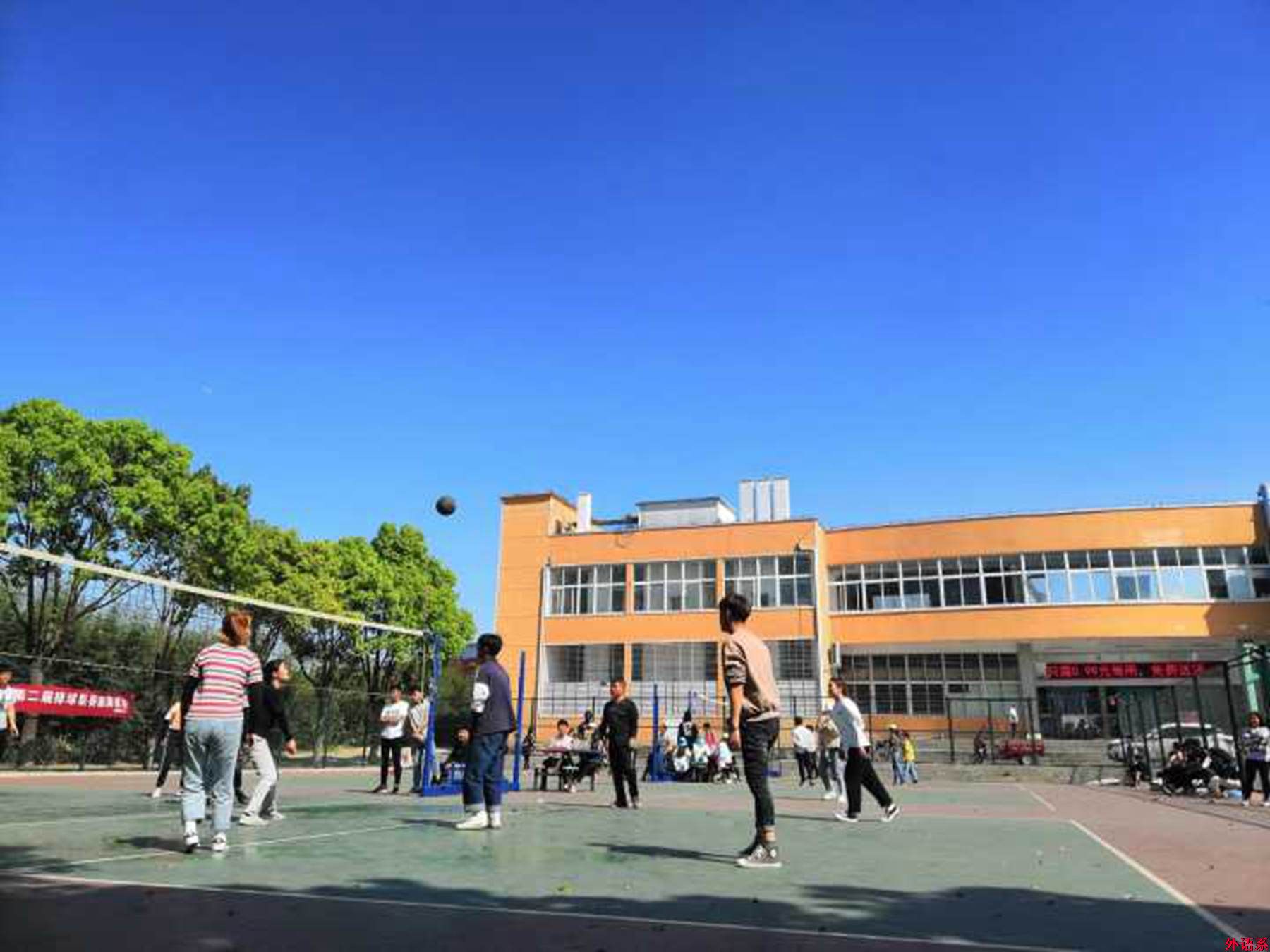 ok138cn太阳集团529在校荷球、排球联赛中取得佳绩