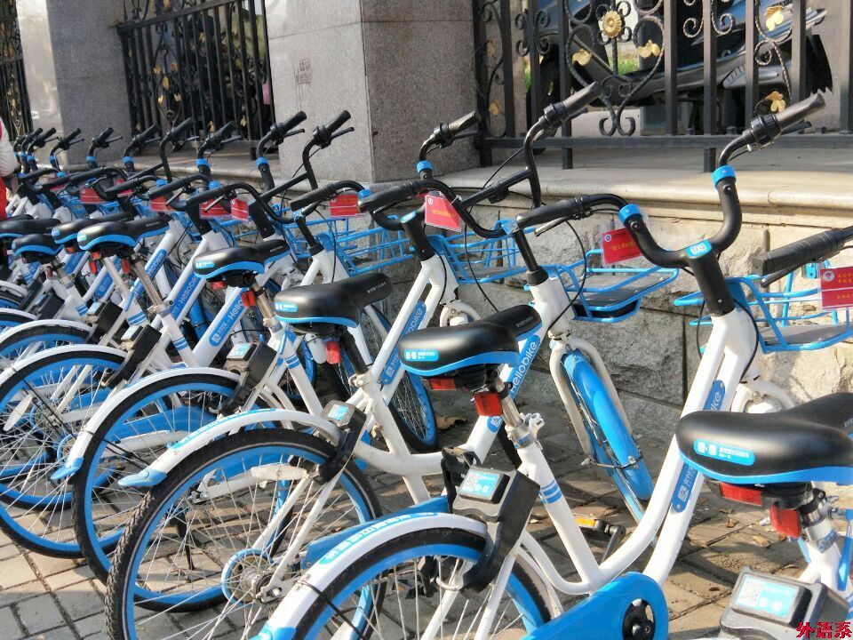 [献礼十九大]ok138cn太阳集团529志愿服务队开展“绿色交通 文明出行”系列活动